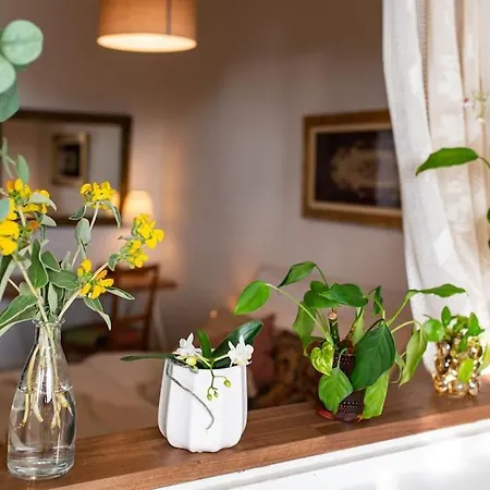 Rosy-terrace/partial Sea View/artistic & Peaceful Apartament